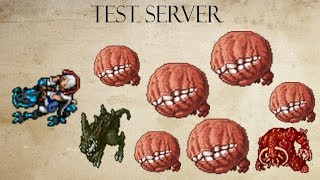 Tibia - Test Server : Como não correr em Roshamuul