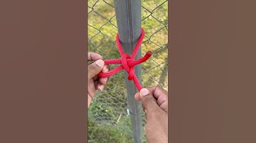 My Favourite Loop Knot !