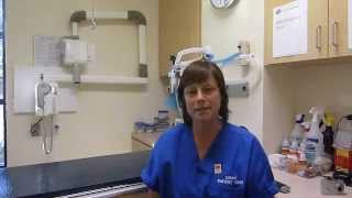 We are AAHA accredited.m4v