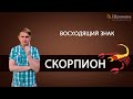 Восходящий знак СКОРПИОН. Дмитрий Пономарев