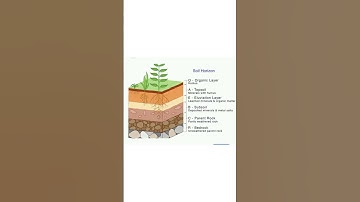 # soil profile #soil layers in India #soil layers picture # soil horizons #Indian geography #ncert