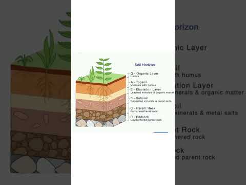 # soil profile