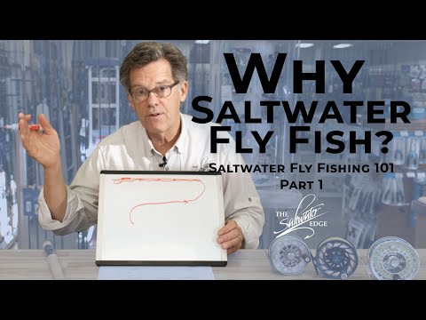 How to Choose The Best Fly Rod  Saltwater & Freshwater (Part 1/5