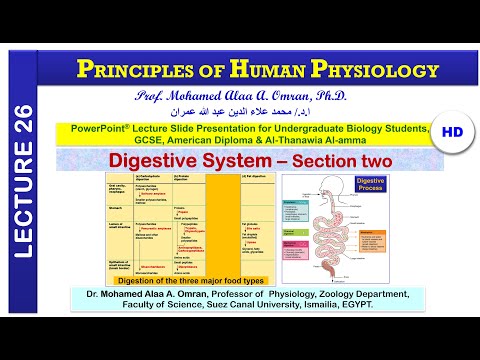 principles-of-human-physiology-lecture-26--2022-(digestive-system-–-section-two)