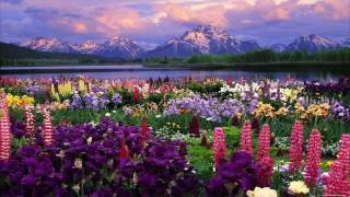 Music To Inspire Happiness And Motivation ,Relaxing Music, Study Music, Meditation Music