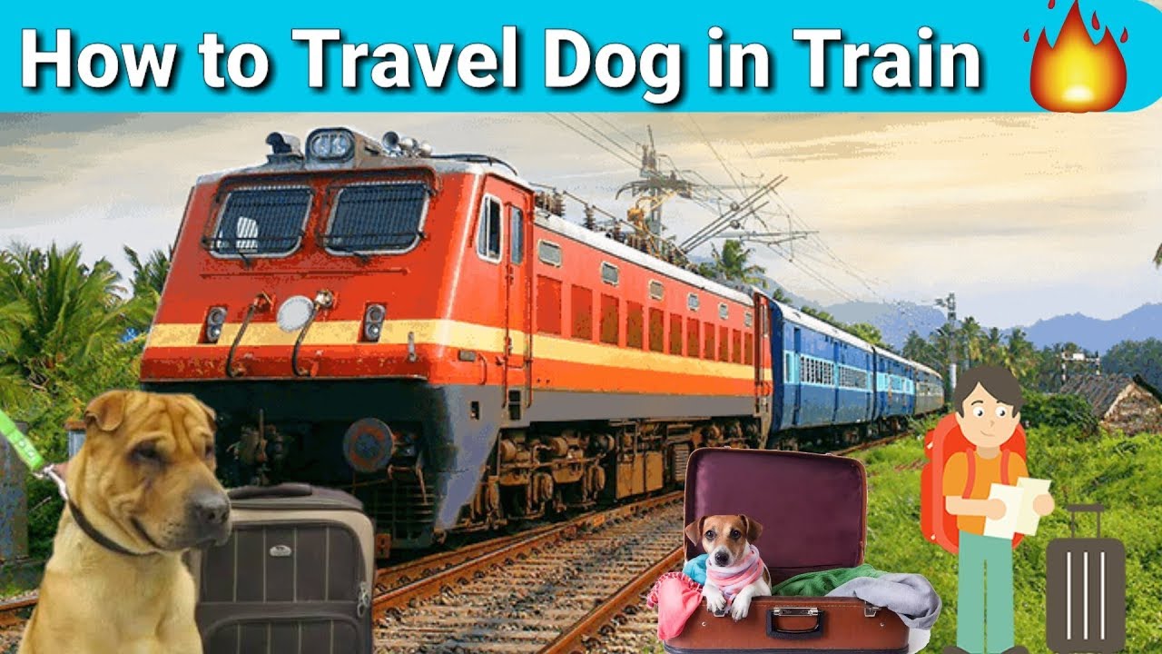 travel with dog in train india