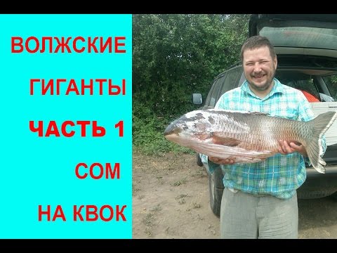 ловля щуки на квок