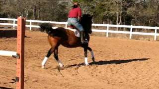 DREAMER 3' with flat work