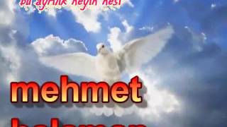 Mehmet Balaman - Bu Ayrılık Neyin Nesi