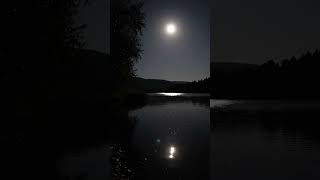 Moonlight Serenity 🌕 | Relaxing Water ASMR | No Music #Shorts #Moonlight