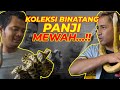 GA SANGGUP LIAT KOLEKSI BINATANG PANJI..! BUBAR JALAN GUYS.. | feat Panji Petualang