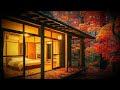 Japanese Cozy Bedroom Cabin | Autumn Rain Sounds for Sleep &amp; Warm Forest Ambience