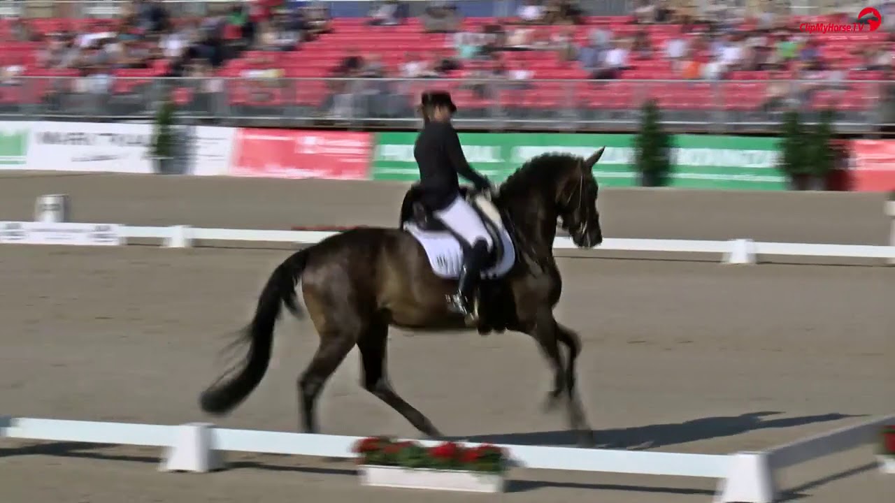 Drame pour Dorothee Schneider