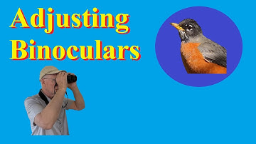 How to Adjust Binoculars: 4 steps to get the best view