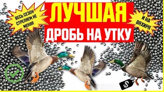 Лучшая дробь на утку для ЛЮБЫХ ситуаций