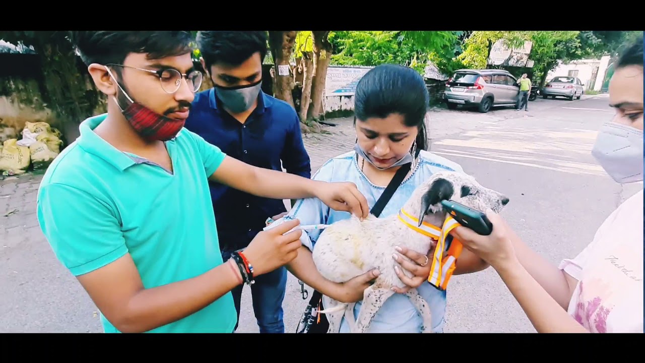 First Dogs Camp In Meerut 