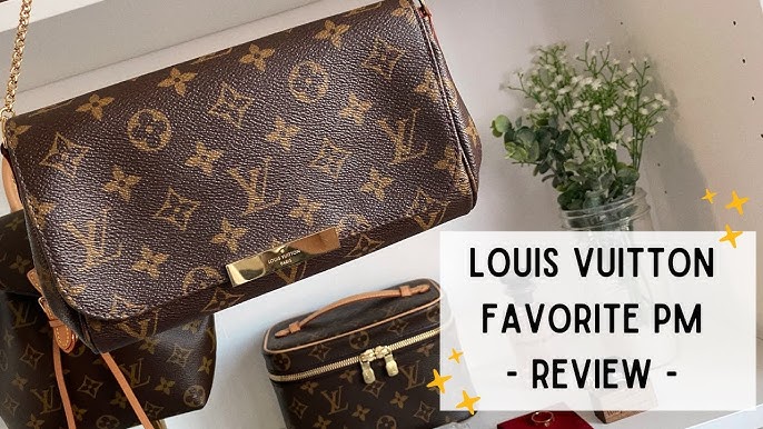 Review of the Louis Vuitton Favorite MM – Jessie's Nonsense