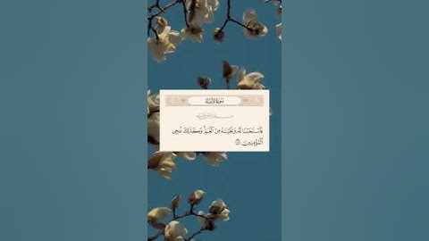 القران الكريم   سورة الانبياء   تلاوة خاشعة جميلة جدا 🫀🤍   حالات واتس اب