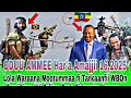 Lola Waraana Mootummaa Tarkaanfii WBOn Zoonii Lixaa Itti Fufiinsa Duula Cichoomina Kaayyoo 