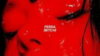 ELILLUMINARI • Perra (English Lyrics) Resimi