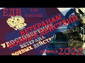 Сумма ЕДВ ветеранам боевых действий в 2020 с индексацией