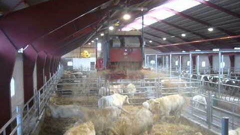 TKS K2 bedding machine