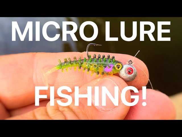 Perch Fishing with Micro Lures! 
