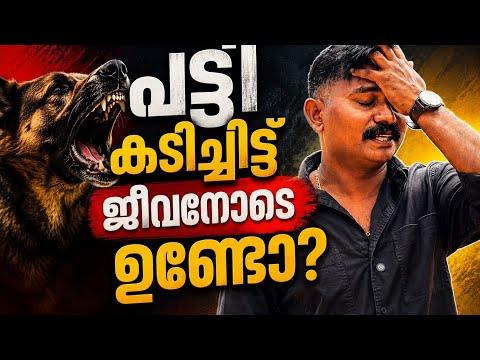 വീഡിയോ ഡിലീറ്റ് ചെയ്യേണ്ടി വന്നു.. Leash talks 
