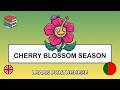 🇬🇧→🇧🇷 Learn Portuguese - Cherry Blossom Season