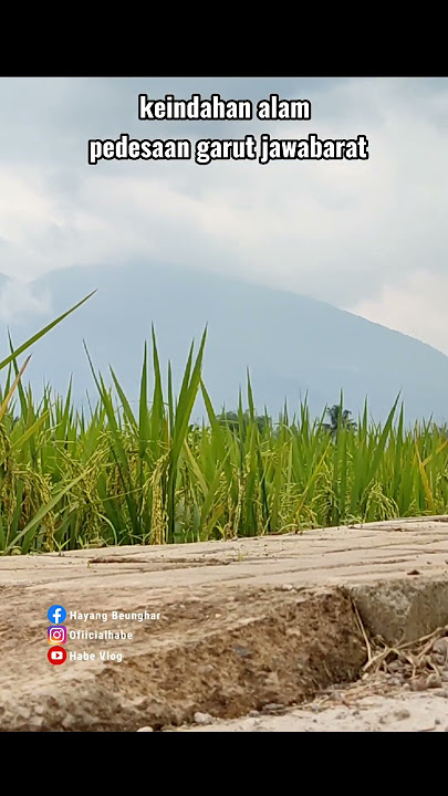 SUASANA PEDESAAN GARUT JAWABARAT
