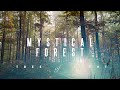 Mystical Forest 🌳 Magical Elven Voice | Rainstick & Tibetan Bowls Meditation Music