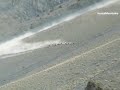 snow leopard attack on Himalayan ibex at zarabad valley