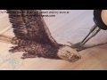 Pyrography: How to Burn a Flying Bald Eagle Pyrography: How to Burn a Flying Bald Eagle