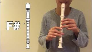 Krusty Krab Recorder Tutorial