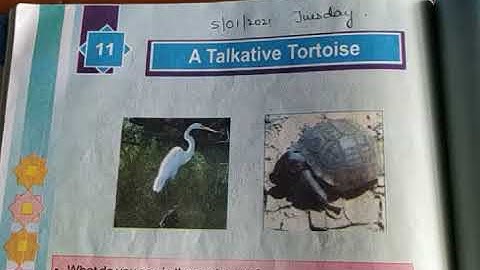 Class- 5, English Chapter-11 A Talkative Tortoise.