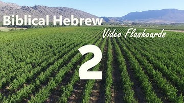 Biblical Hebrew Video Flashcards 2