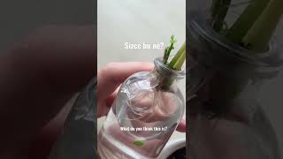 Sizce Bu Ne? What Do You Think This Is?