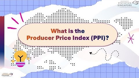 What is the Producer Price Index (PPI)?