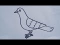 How to draw a pigeon birdeasy drawing step by step simple bird drawing