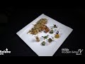 Filipino chefs introduce their region&#39;s dishes to the world || Solane Kitchen Hero