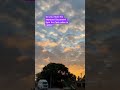 #youtubeviralvideo #shortsvideo #viralshortsvideo #goviral #youtubeshort #youtubers #ytshorts