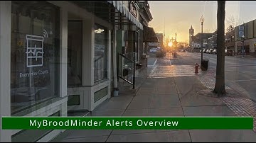 MyBroodMinder V5 Alert Overview