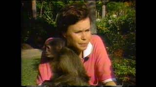 Fm Rf Archive - The Disney Channel - January 2, 1988 Promos, Dateline Walt Disney World