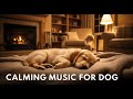 12 hours of Anti - Anxiety Music for Dogs : Soothe Your Anxious Pet & Help Them Relax & Sleep 🦴