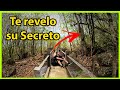 El secreto del BOSQUE PETRIFICADO DE PUYANGO . Albert Oleaga. Ecuador