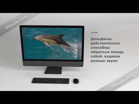 Животный мир на букву Д