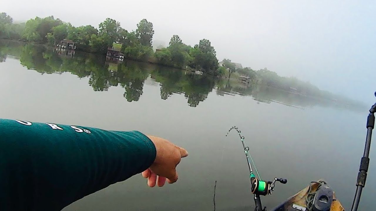 Use These Techniques To Catch More Summer Catfish