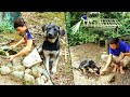 Jungle Survival Challenge [HD] | 6 Months Adventure( Full video)
