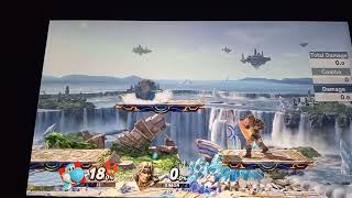 Smash Ultimate Yoshi Shield Oddity