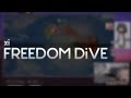 Xi  freedom dive endless dimensionshr 9970
